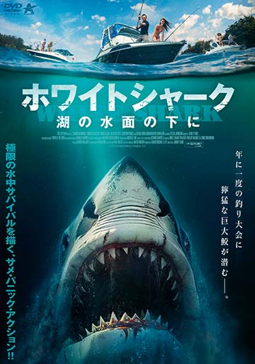 ホワイトシャーク　湖の水面の下に　　　　
