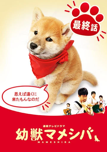 幼獣マメシバ 最終回 思えば遠くに来たもんなのだ。
