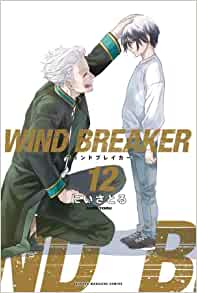 WIND BREAKER (12) 
