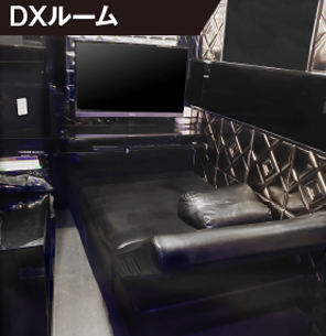 デラックスルーム デラックスルーム